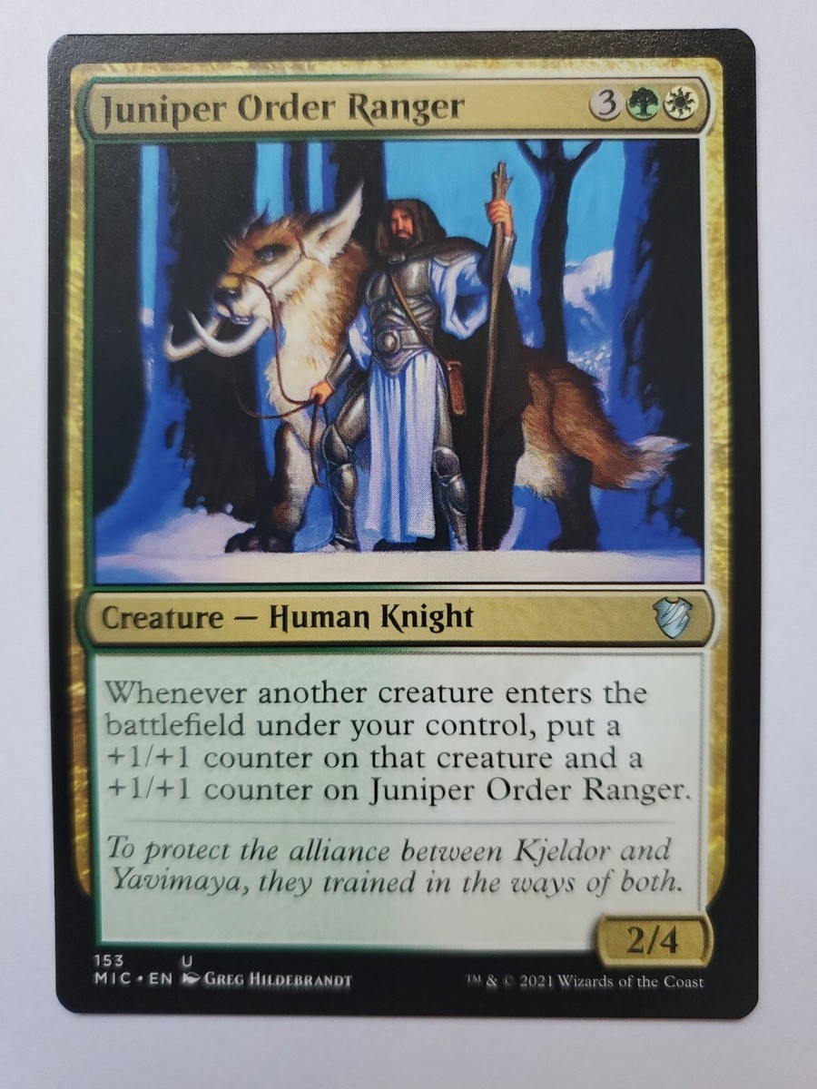 MTG Magic The Gathering Card Juniper Order Ranger Creature Human Knight | eBay MTG Magic The Gathering Card Juniper Order Ranger Creature Human Knight | eBay
