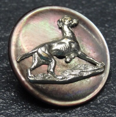 selten alter Vintage Jagd Hunde Knopf old dog chien button boussole bouton #6