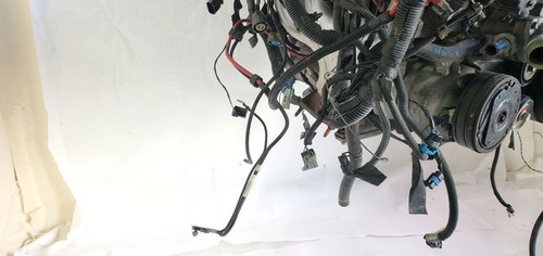 2004 Chevrolet Corvette OEM 5.7L LS1 Engine Swap With ECM Wiring V8 - Picture 14 of 24