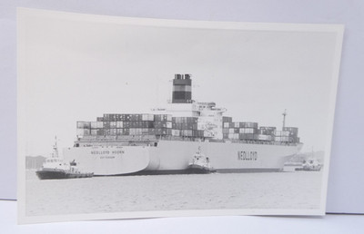 Nedlloyd Hoorn Container Ship Photo Tug Assistance Harbour View