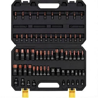 66-Piece Torx Bit & Hex Bit Socket Set: 66-Piece Torx & Hex Bit Socket Set