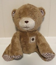 Summer Infant Brown Plush Teddy Bear with Soothing Sounds Lullabys