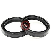 1L OLIO ENI 5W PARAOLI FORCELLA 34 X 46 X 10,5 TB4 SUZUKI T 350 69-73 Foto 2 de 4