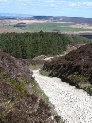 Photo A2 The Hambleton drove road Over Silton This well used track is se c2015