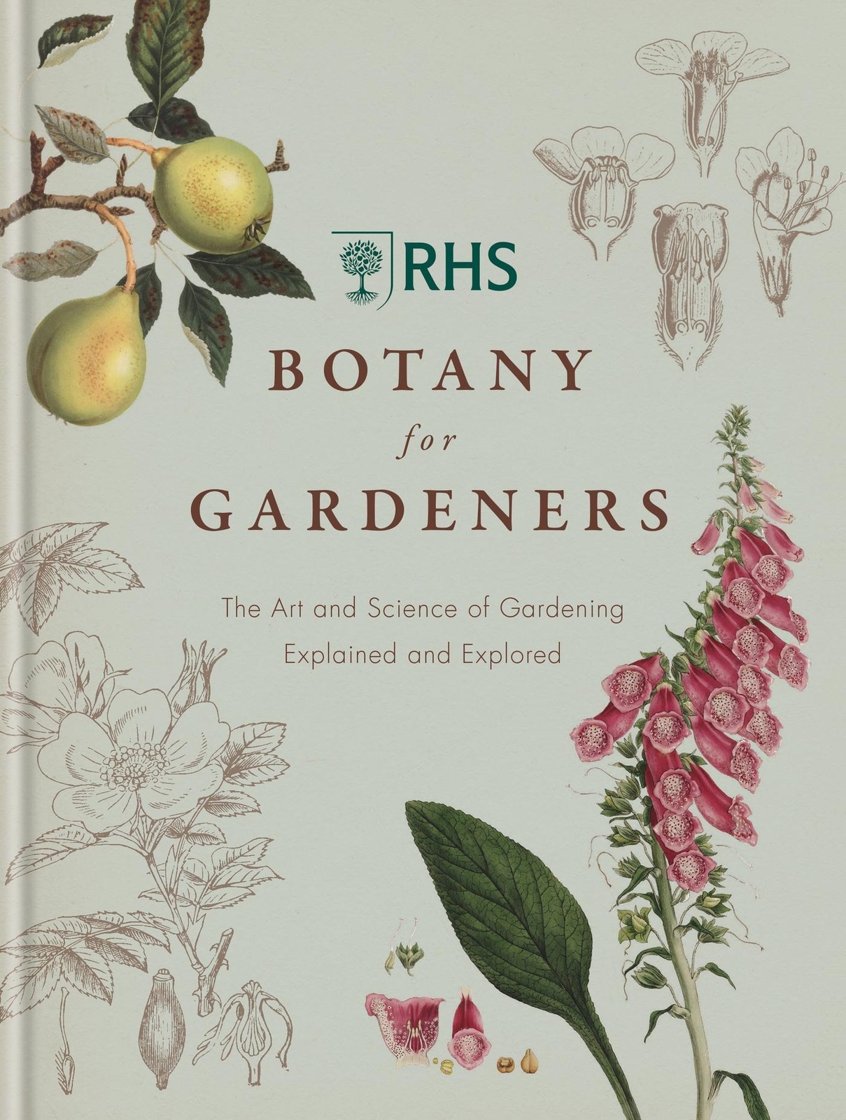 Thumbnail - Rhs Botany For Gardeners | Geoff Hodge | Buch | Gebunden | Englisch |