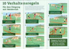 Bild 4 von 4