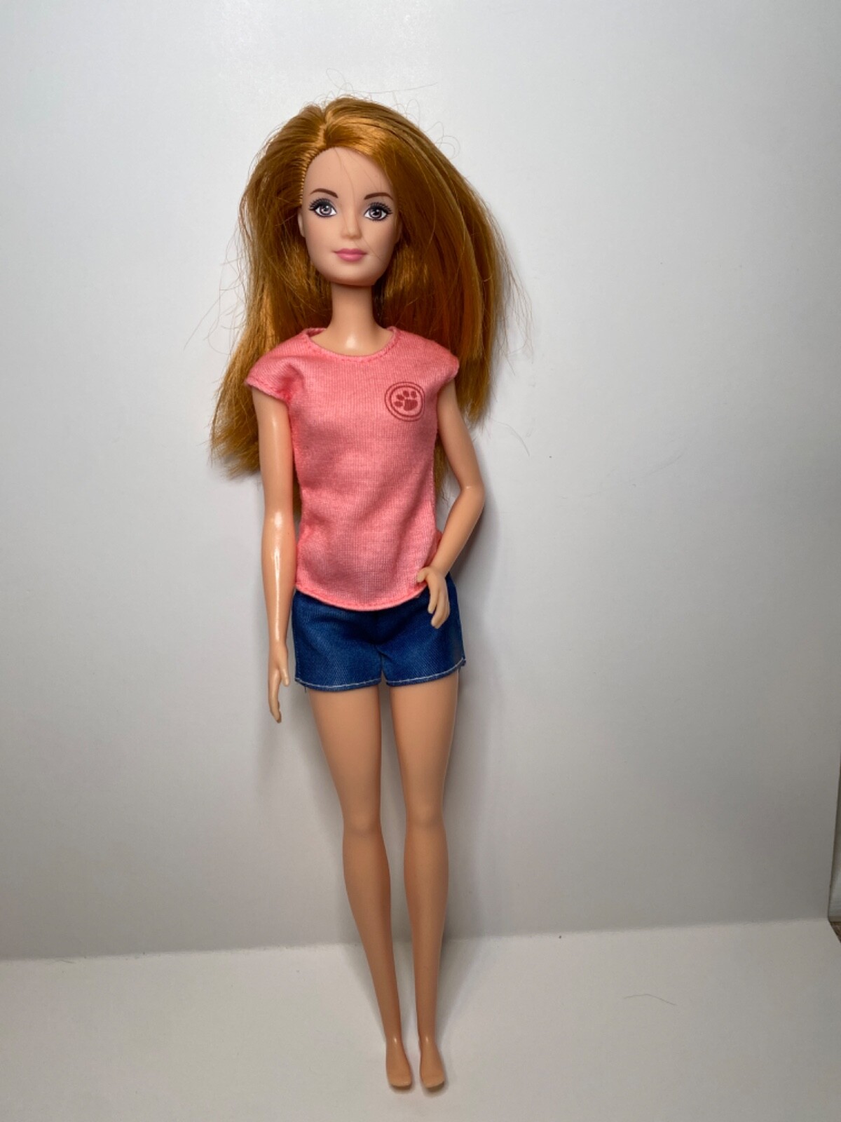 Mattel Pretty Red Head Barbie Chicken Farmer Career You Can Be Anything 2019