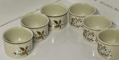 Royal Doulton Wild Cherry/Brendon Hill Lambethware L.S.1038 - 6er Set Auflaufförmchen.