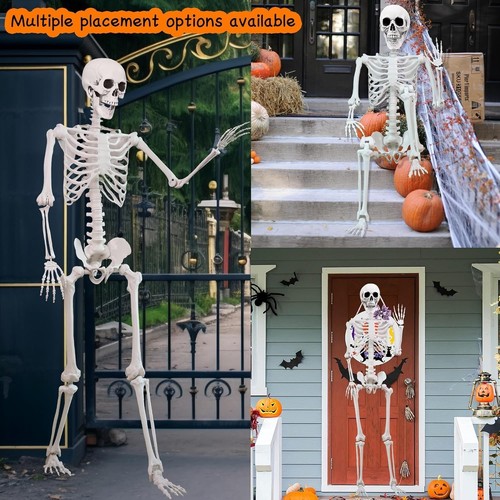 5.4ft Halloween Skeleton Poseable Skeleton Life Size Full Body Human Skeleton US - Picture 4 of 7