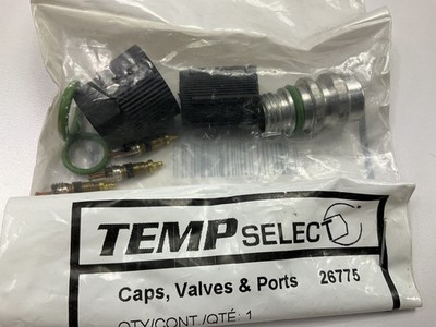 Temp Select 26775 A/C System Valve Core And Cap Kit