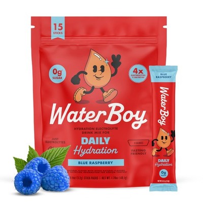 Electrolyte Powder Packets 1570mg No Sugar All Natural 15 Stick Mix Waterboy