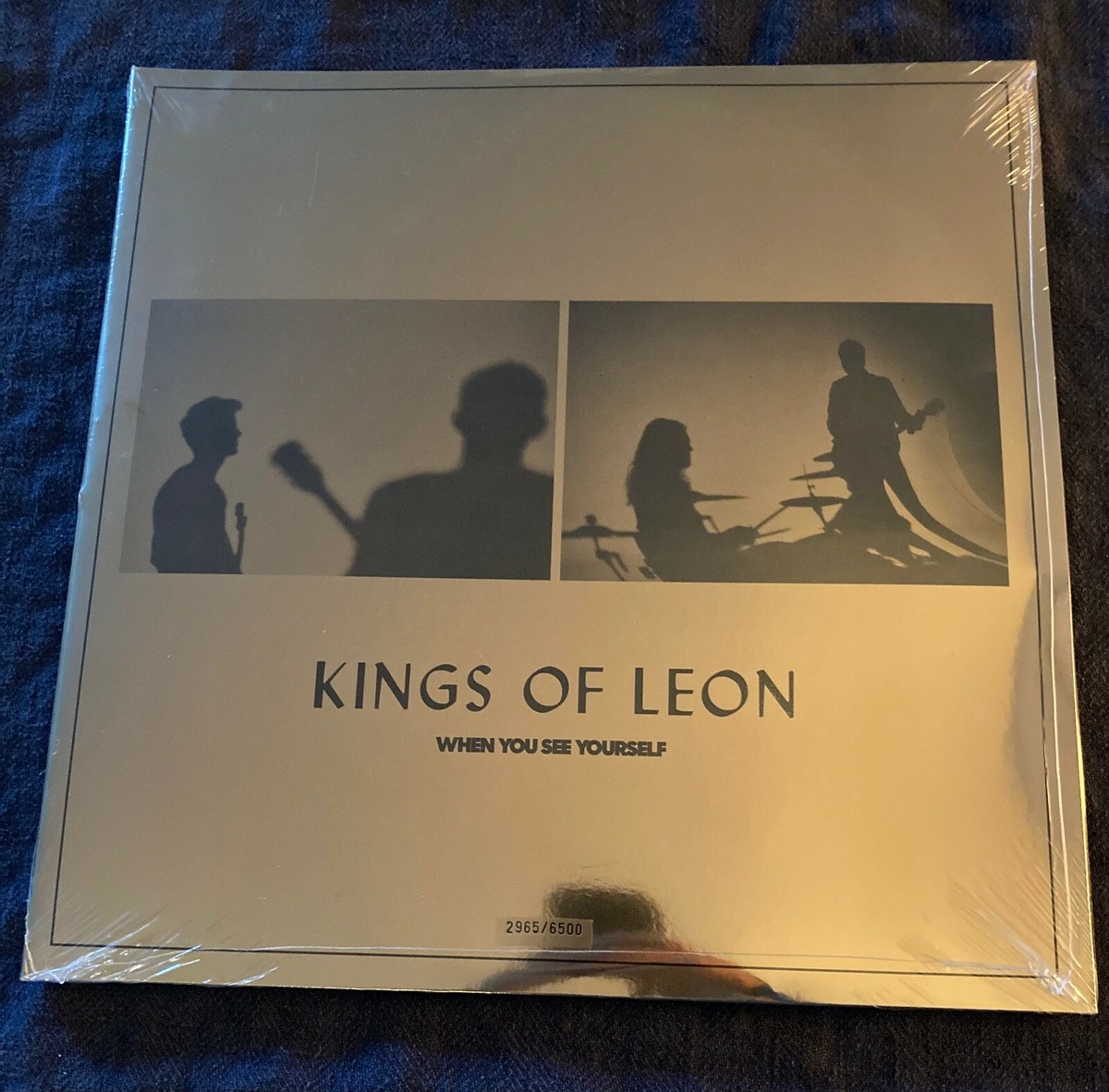 Kings Of Leon　When You See Yourself　レコード Kings Of Leon Sealed 
