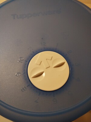 Tupperware Ice Cream Keeper FreezeSmart Round Date Dial