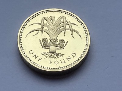 COIN PROOF 1985 ONE 1 POUND