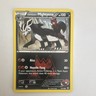 Pokémon TCG Team Magma's Mightyena 19/34 Double Crisis Common Stage 1 100 HP
