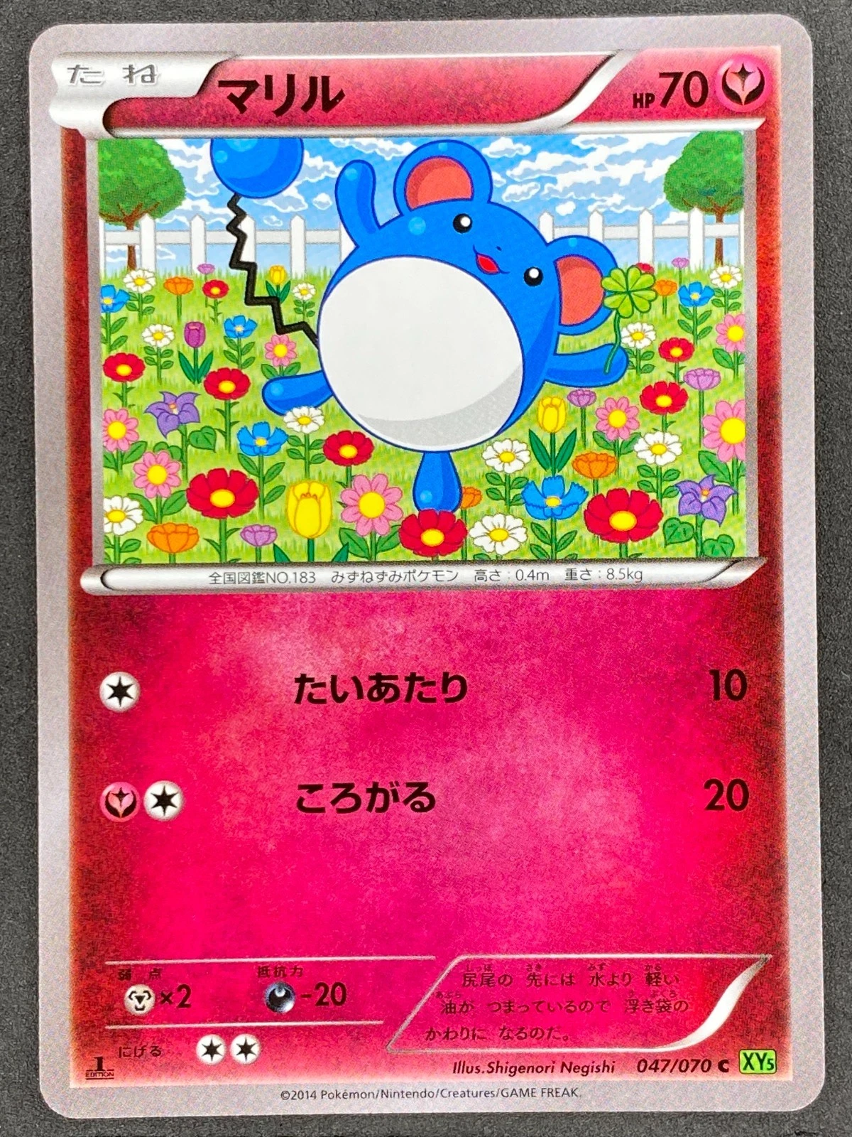 Pokémon Japanese Marill 047/070 XY5 Tidal Storm 1st Edition NM