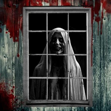 Halloween Window Cover, Scary Halloween Haunted House Window Clings,Scary Peeper