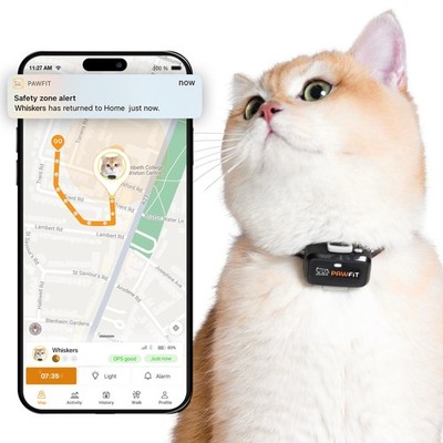 Pawfit Lite for Cats 4g GPS Tracker | Ultra-Small ( 18g) Design | Real-Time Trac