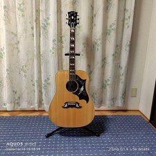 Gibson Dove / Akustikgitarre mit Original HC Made in 2024