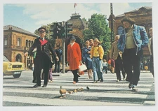 Typical Danish Spring View Postcard Duck Crossing Copenhagen Agenda 106
