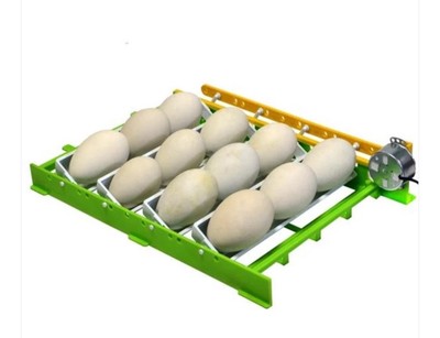 Cimuka Hatching Cabinet Incubator Goose/Peacock Egg tray (Set of 2)