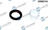 Dr.Motor Automotive DRM0745 Shaft Seal, Crankshaft For Dacia Nissan Renault