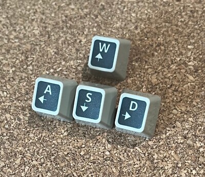 WASD arrows Black ibm Unicomp model m keys/keycaps (Pebble)