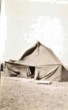  12 WWII Photos - 1945 - Scenes From WWII - Trucks - GI's