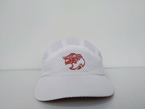 Panel Nike TAILWIND Hat Cap White Mesh 