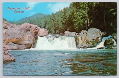 Steamboat Falls Oregon OR Cascade Mountains Postcard