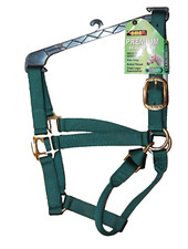 NEW Premium BMB Horse Halter Solid Brass Hardware for Yearling 500-800lbs GREEN