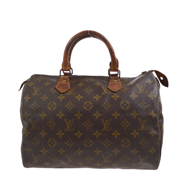 louis vuitton speedy canvas bag