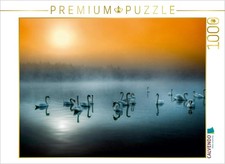 CALVENDO Puzzle Schwanensee bei Teublitz 1000 Teile Puzzle quer 1000 Teile Leg