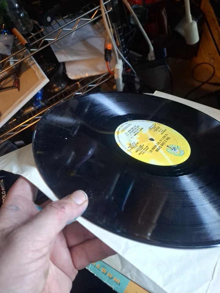 The 2 Live Crew – As Nasty As They Wanna Be (1989) Luke Skyywalker Records Foto 3 de 4