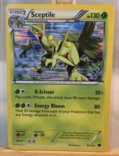 Sceptile 8/116 Plasma Freeze Holo N/M POKEMON ENGLISH VINTAGE on eBay