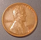1955 D Lincoln Wheat Cent/Penny US Coin Circulated (#5)
