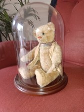 Antique steiff Teddy bear 1908 never been played with.Mint condition.