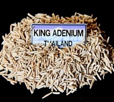 500 SEEDS ADENIUM OBESUM DESERT ROSE ASSORTED MIXED COLORS FRESH FREE SHIPPING