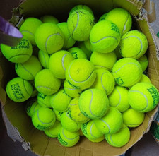 15 / 30 Used Tennis Balls.  most With Logos Still On dogs, games, free postage