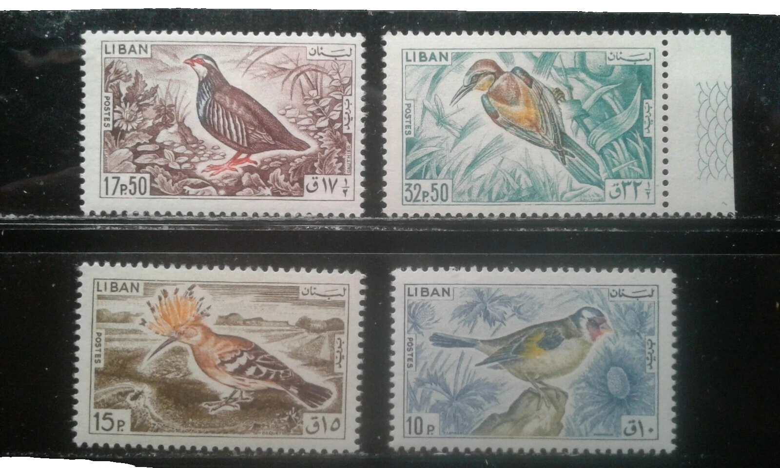 Aves Sellos libanés