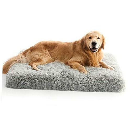 extra large dog bed aldi