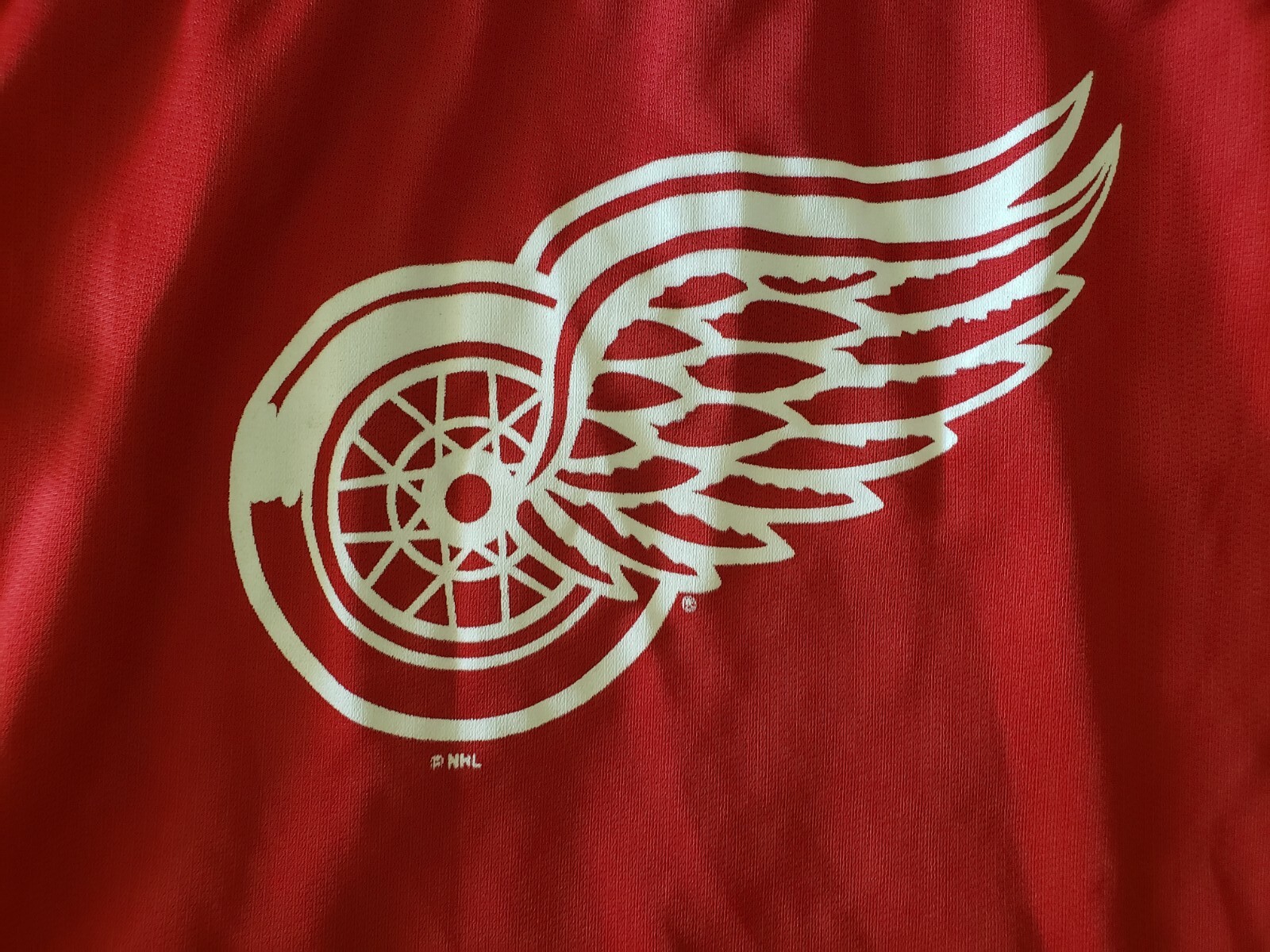 VINTAGE RED WINGS JERSEY. IRON KNIGHTS ATHLETICS. SZ. LARGE. "PREOWNED