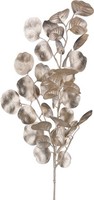 KüNstlicher Eukalyptuszweig, 2Er Set, Farbe Champagner, HöHe Ca. 77 Cm