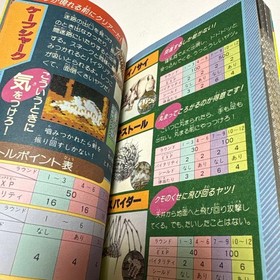 Famicom Dragon Buster 1987 Showa 62
