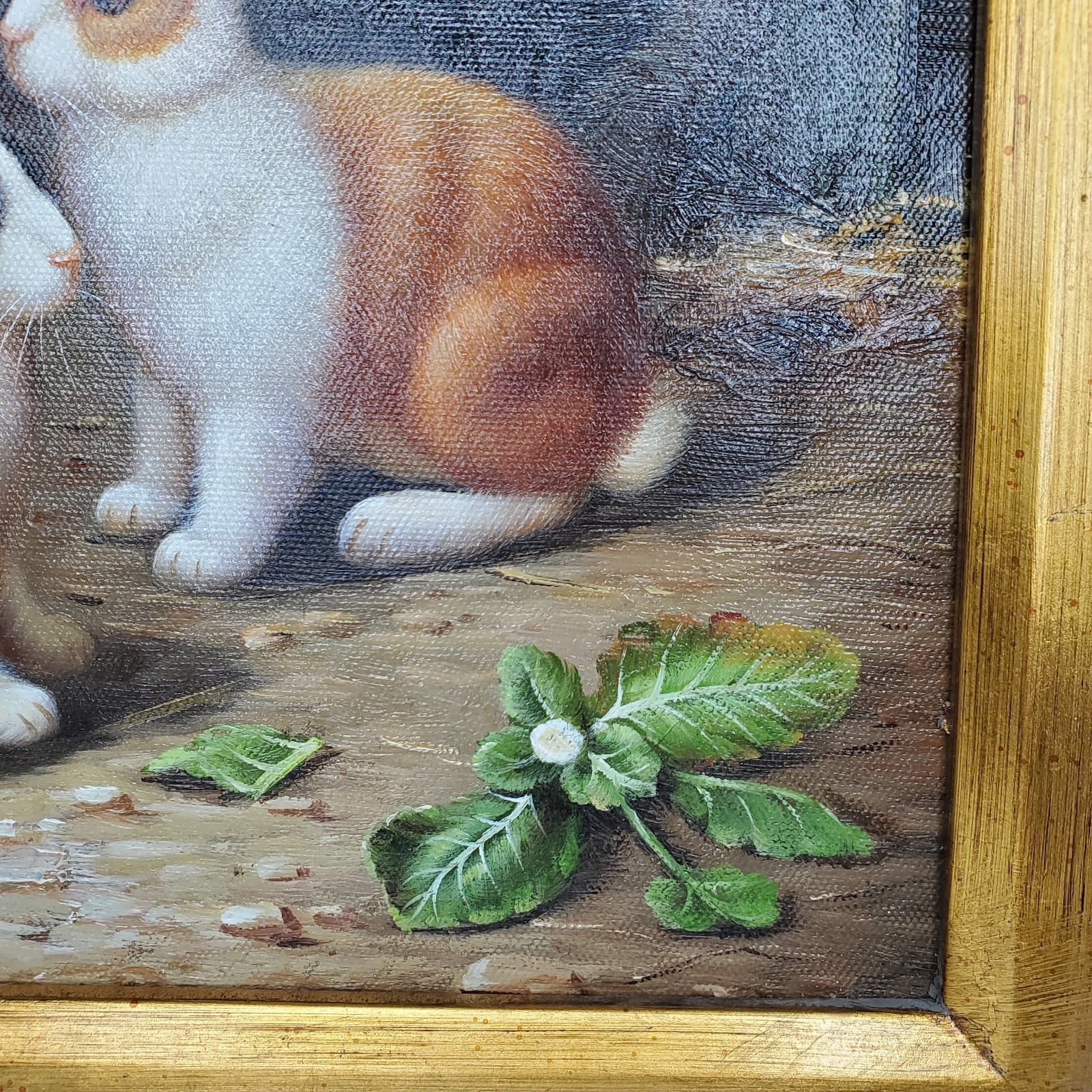 Picture 8 of 23