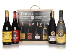 Faustino Rioja Red Wine Experience Gift Pack Red Wine 300cl