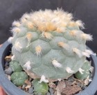 Foto 3 di 4