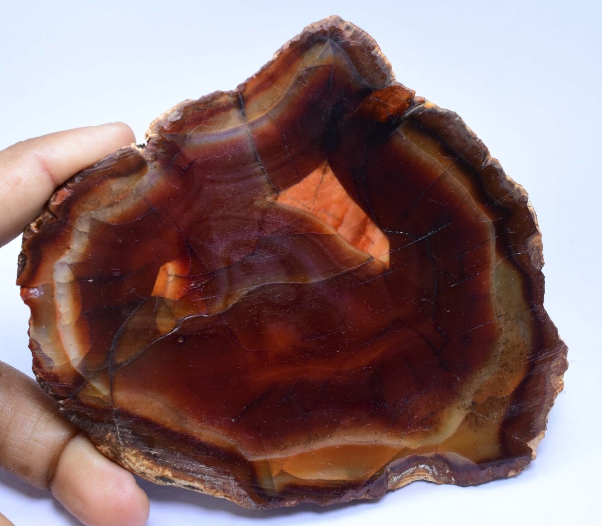 1784.0CT Natural Condor agate specimen, from San Rafael, Mendoza