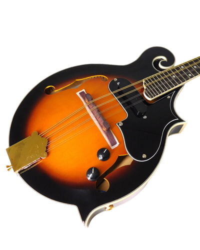 Caraya SMA008EQVS Solid Spruce Top F-Style Acoustic-Electric Mandolin - 第 3/12 張圖片