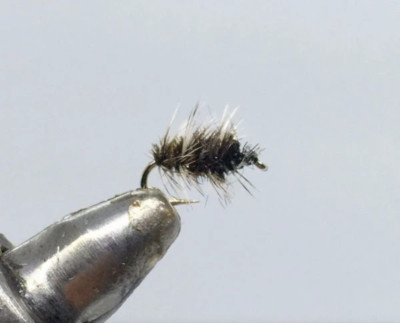 One Dozen (12) Griffiths Gnat Dry Fly